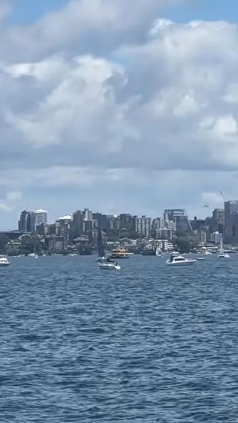 Sydney Harbour skyline with Harbour Bridge for Plinko Australia guide